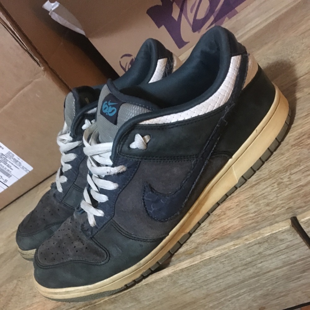 Nike SB 6.0